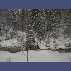 2013-02-02_Rappinschlucht_Lainlalm (058).jpg